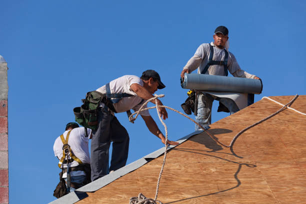 Quick and Trustworthy Emergency Roof Repair Services in Lewisville, WA